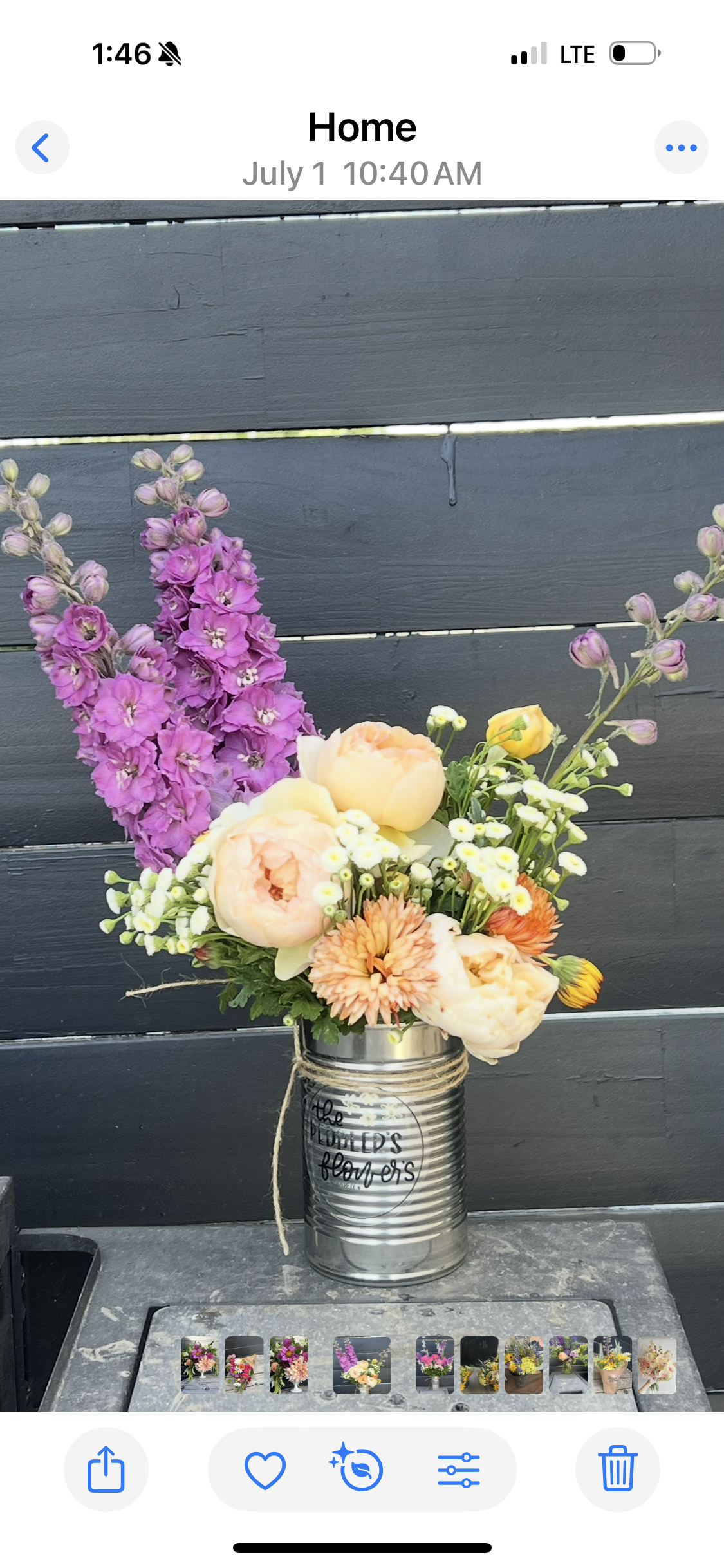 Simple Garden Consult