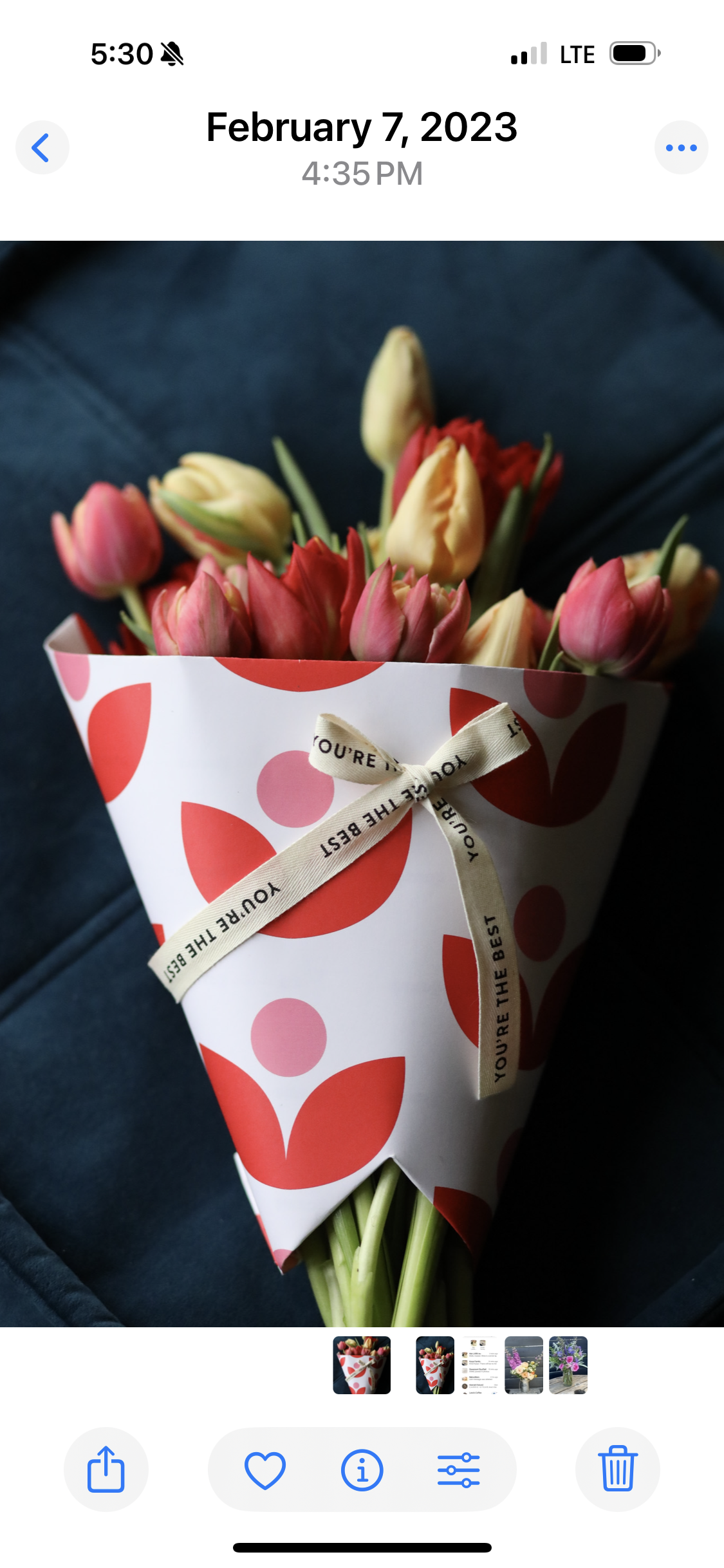 Saturday Tulip CSA- Farm pick-up